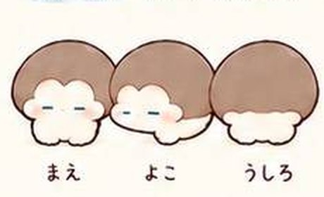 祥一郎の三面図